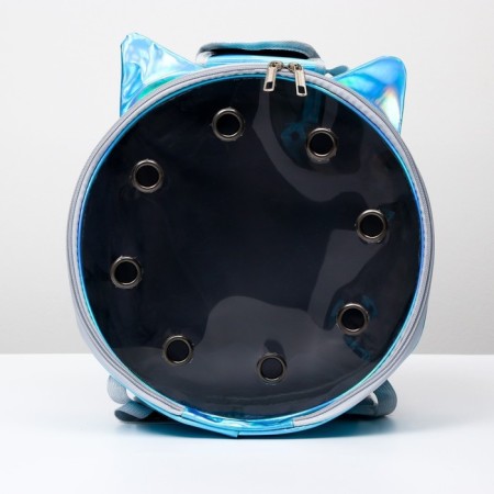 Round backpack for carrying animals, transparent, 26 cm, blue-5