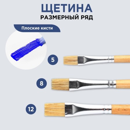 Brush for drawing bristles flat No. 12-3