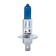 Gagonon lamp Metaco H1 12V 55W P14.5S