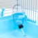 Cell for rodents "Pijon", 47 x 30 x 30 cm, blue