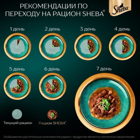 SHEBA wet food for cats, chicken and rabbit of slices, spider, 75 g-5