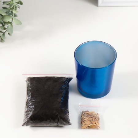 Set for growing plants "grow grass" blue