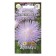 Seeds of Flowers Astra Annocation "Silver Hood", 0, 2 g 1029116