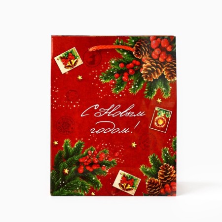 Package Gift New Year Laminated "New Year's History", MS 18 x 23 x 8 cm, New Year-1