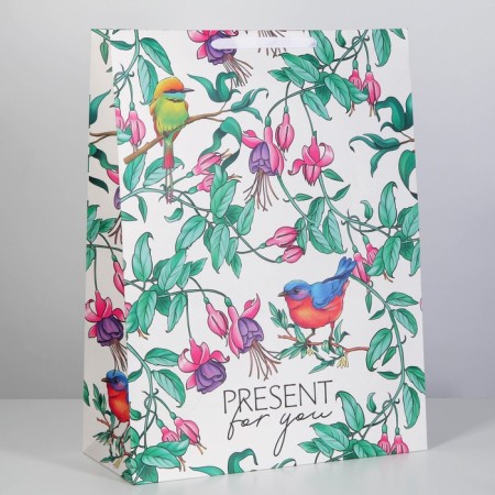 Gift laminated vertical, packaging, Present for You, 61 x 46 x 20 cm-1
