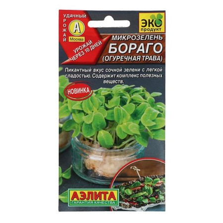 Microsiness seeds "Borago" (cucumber grass), 3g,