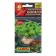 Microsiness seeds "Borago" (cucumber grass), 3g,