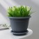 Flower pot with the subdone Ingreen Aphrodite, 1.5 l, d = 17 cm, h = 13.5 cm, the color is gray.