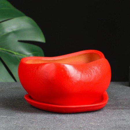 Bonsai Pot Bonesi, 0.6 l/14x18 cm-2