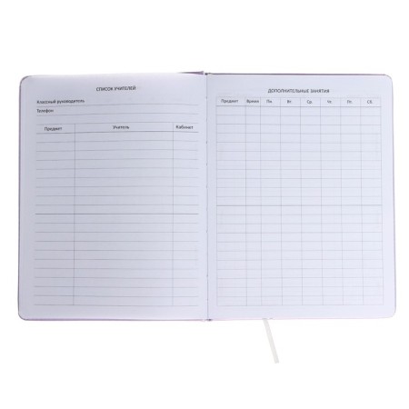 Universal diary for grade 1-11 Confidential, hard cover, artificial leather, foam rubber, liesse, 80 g/m2-5
