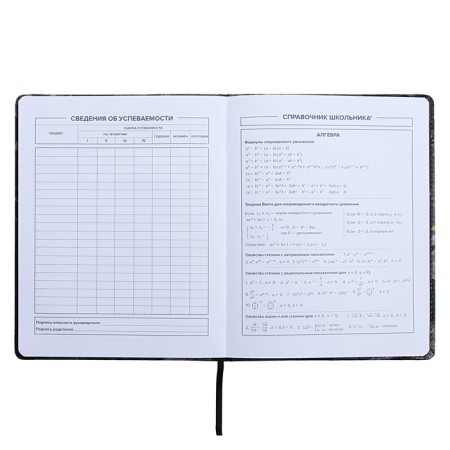 Universal Diary Grade 1-11, 48 sheets "Break the Rules", a solid cover of artificial leather, lies, an offset unit-10