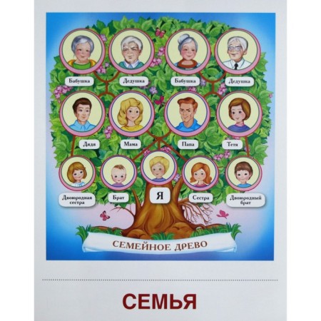 A set of cards. Family. 8 demonstration pictures. 174x220-1
