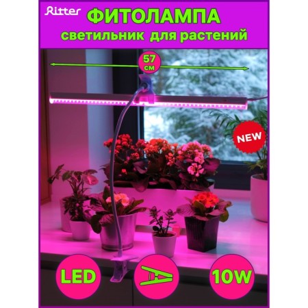 LED LED LED Ritter, T5, 10W, 572 mm, IP20, in a clothespin, red-blue spectrum-5