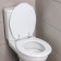 Toilet seat, 45 × 35 × 5 cm, white color