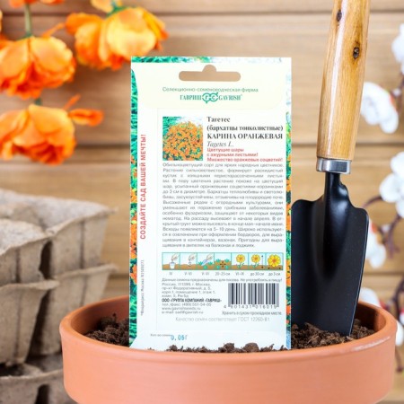 Flower seeds of velvet "Karina Orange", thin -leaved, 0.05 g-1