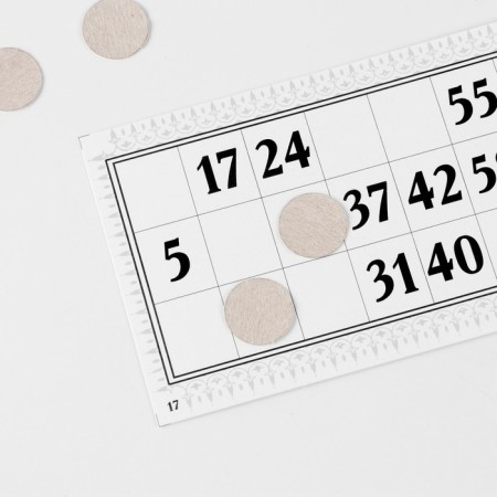 Russian lotto "Lassic", 24 cards, card 16.5 x 8 cm-6