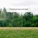 Decorative fence, 28 × 88 cm, 1 section, wood, Greengo
