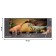 Set of figures "World of dinosaurs", 7 figures