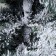 Christmas tree "Scandinavskaya 150 cm