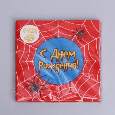 Two -layer paper napkins “Happy Birthday”, web, 33x33, 20 pcs.-8