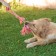 Cable toy with chewing elements "Toothpick", 45 cm, mix of flowers