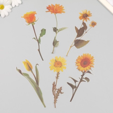 Plastic stickers "Flowers and quotes. Yellow" set 12 pcs 8.5x21.5x0.2 cm-4