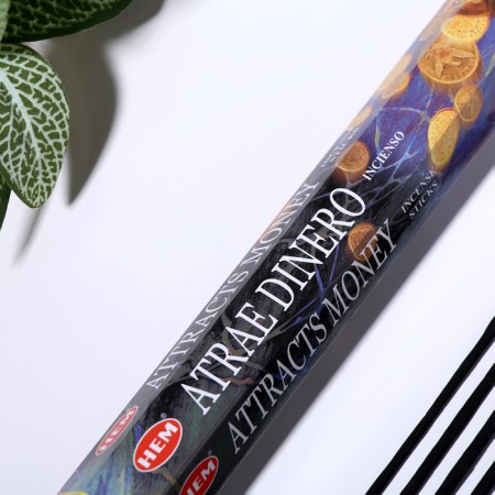 Incense hem "Attraacts money. Attracting money", 20 wands in packaging, hexagon-1