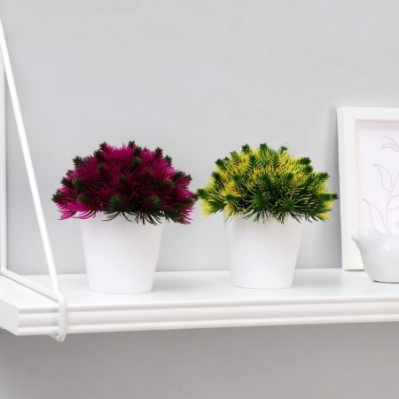 Bonsai in the pot "Fluffy needles" 10x11 cm, mix-2