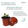Pot for seedlings, 370 ml, d = 9.5 cm, h = 8 cm, terracotta, Greengo