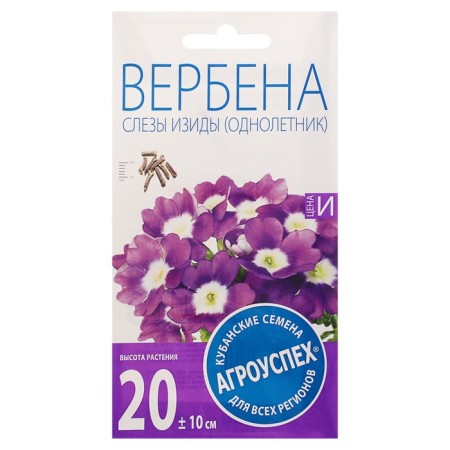 Verben's flowers "Izids" stunted, o, 7 pcs