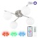 Ceiling chandelier Citilux "Adam Smart" CL228A141 45x41x21 cm, 4x12W, LED, Gray color.