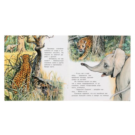 We know the world around us "The Adventures of the Elephant"-2