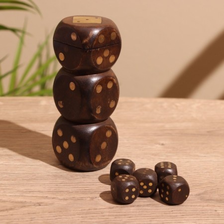 Dice play in a box 12x4x4 cm, wood shisham