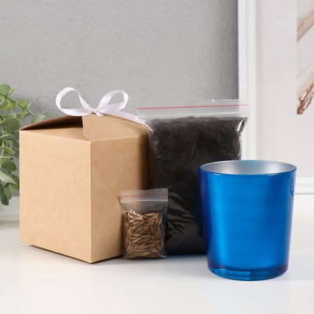 Set for growing plants "grow grass" blue-4