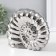 Souvenir ceramics "shell spiral" silver 20.5x6x16 cm
