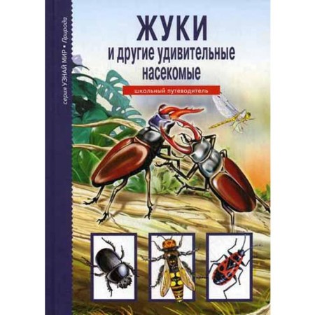 Beetles and other amazing insects. Find out the world. Afonkin S.Yu.