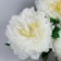 Artificial flowers "Kustovo peony" 5 buds, 15x110 cm, white
