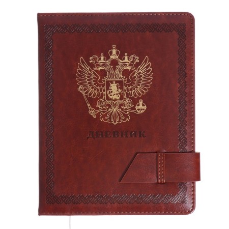 Universal diary for grade 1-11, solid cover, artificial leather, brown cover, liesse, 80 g/m2