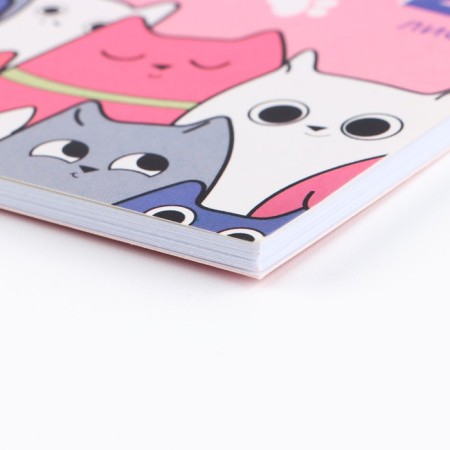 Album for drawing 24 sheets A5, on the paper clip "cats on a pink background"-1