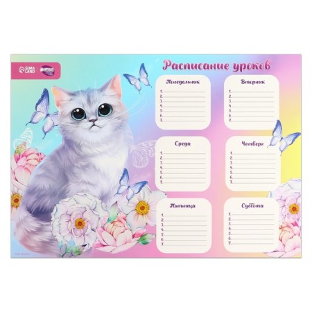 Air Miracle Lessons Schedule A3-1