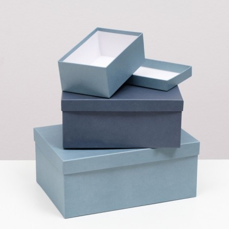 Set of boxes 10 in 1 "barracudus" 30.5 x 20 x 13 - 12 x 6.5 x 4 cm-1