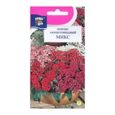 Flower seeds pentas lanceolate 