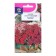 Flower seeds pentas lanceolate "mix f1", 0.003 g in amp.