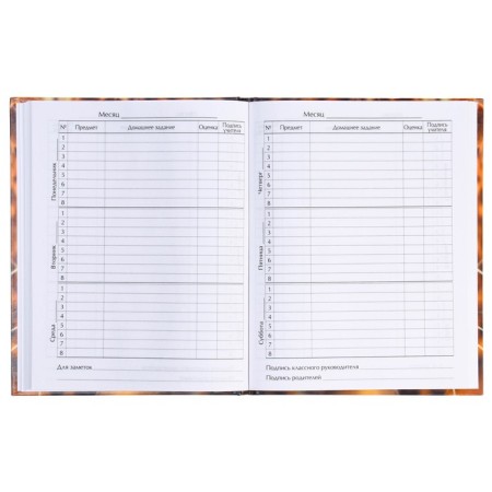 Diary for grades 5-11, “leopard”, solid cover 7BC, glossy lamination, 48 sheets-4