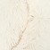Lesser for dogs and cats, long fur, 80 x 80 x 25 cm, milk
