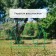 Decorative fence, 65 × 325 cm, 5 sections, metal, green, “Arena”, Greengo