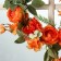 Wreath on the door Interior "Orange Flowers" 32x7x32 cm
