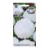 Flowers of Astra "White Swans" 0.2 g