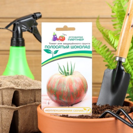 Seed Tomat "Striped Chocolate", 10 pcs