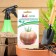 Seed Tomat "Striped Chocolate", 10 pcs